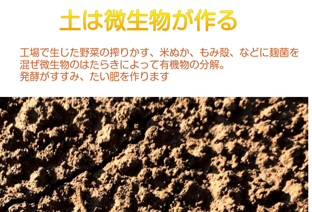 土は微生物が作る