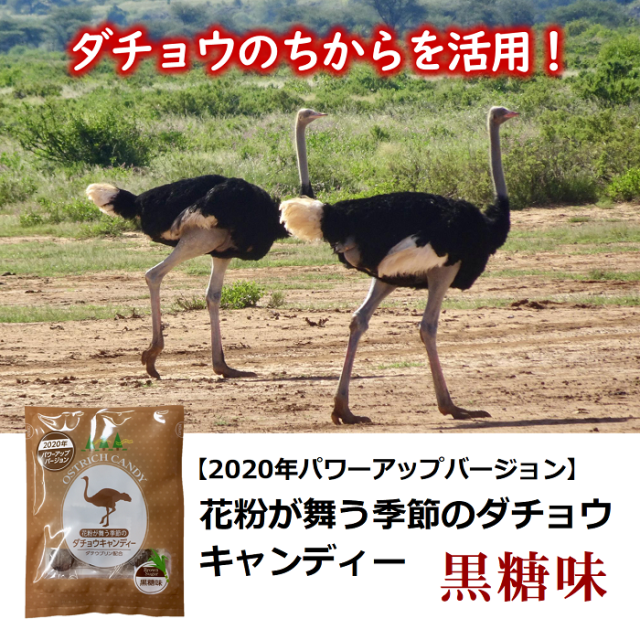 花粉が舞う季節のダチョウキャンディー ダチョウ抗体