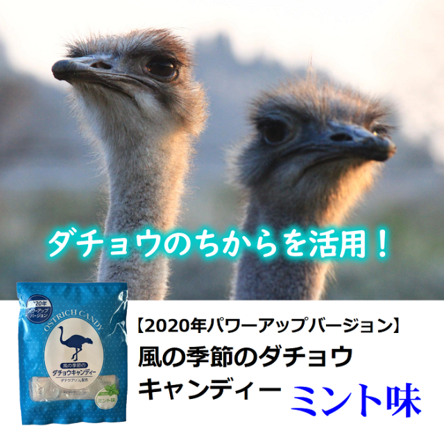 風の季節のダチョウキャンディー ダチョウ抗体