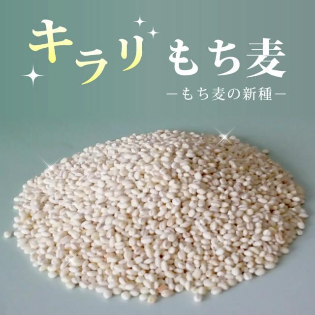 きらりもち麦