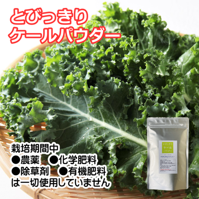 国産　ケールパウダー
