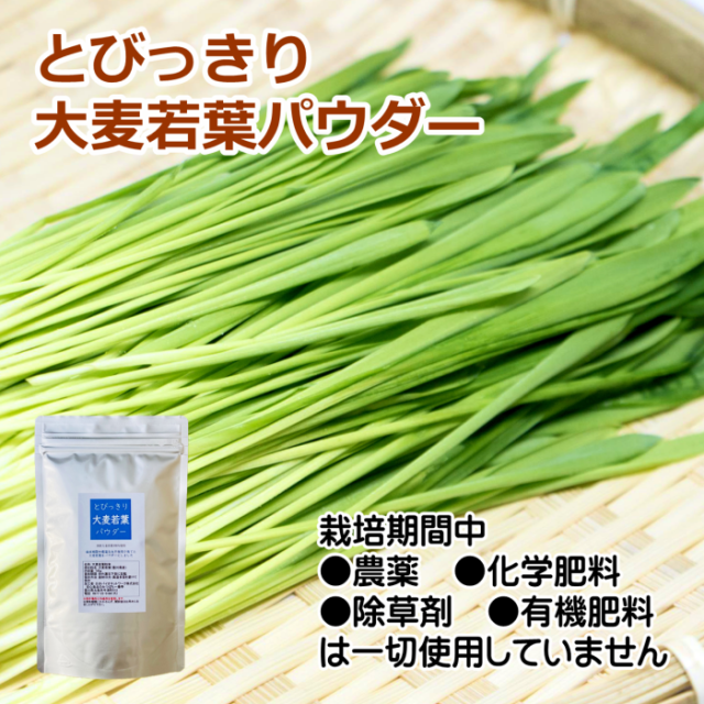 国産　大麦若葉パウダー