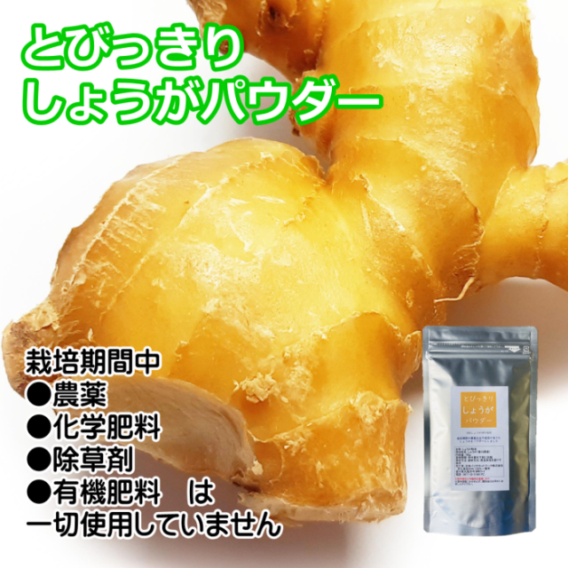 国産　しょうがパウダー