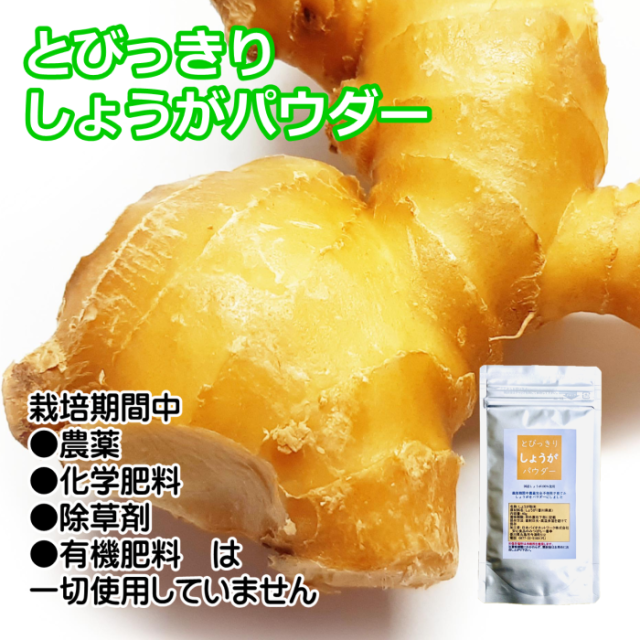 国産　しょうがパウダー