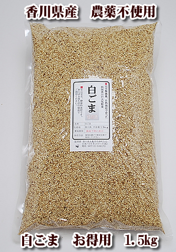 白ごま　国産　無農薬