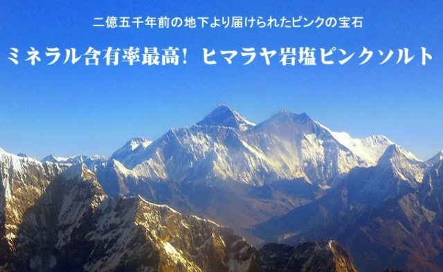 ヒマラヤ岩塩 ピンクソルト 500g 2億5千年前のミネラル含有率最高の天然岩塩